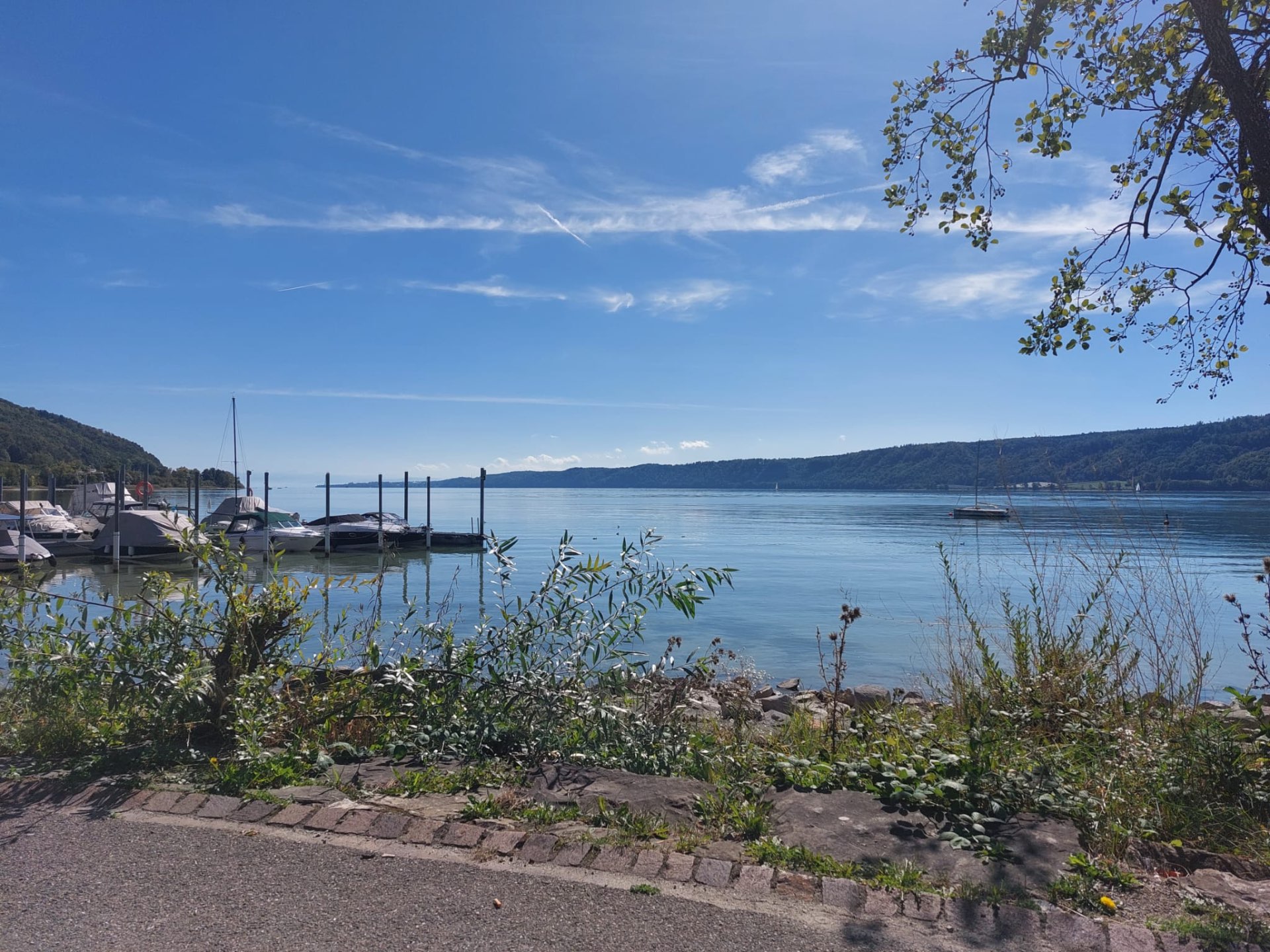 Der kleine Bootshafen im Uferpark Ludwigshafen bei strahlendem Sonnenschein, mit Sportbooten an den Stegen und dem ruhigen Blau des Bodensees.